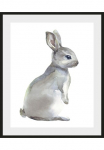 queence Paveikslas &raquo;Millie&laquo; naminiai gyvūnai | Kunst | Schwarz-Wei&szlig; 1 Stk. dalys HD Premium Poster-Druck ir Holzrahmen