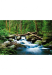Papermoon Fototapetas &raquo;Deep Forrest&laquo; matinis