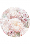 Komar Fototapetas &raquo;Vlies selbstklebend - Pink and Cream Roses - Gr&ouml;&szlig;e 125 x 125 cm&laquo; ra&scaron;tuotas glatt Wohnzimmer miegamojo kambario baldai