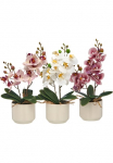 Creativ green Kunstorchidee &raquo;Orchidee Phalaenopsis&laquo; su real-touch-Bl&uuml;ten