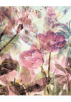 Komar Tapetai &raquo;Digitaldruck Vlies - Metropical Faded - Gr&ouml;&szlig;e 200 x 250 cm&laquo; ra&scaron;tuotas glatt Wohnzimmer miegamojo kambario baldai
