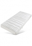 Hemafa Patogus putų poliuretano čiužinys &raquo;Cellflex 1900&laquo; 19 cm hoch Raumgewicht: 35 kg/m&sup3; 1 Stk. dalys