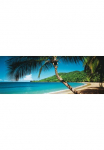 Papermoon Fototapetas &raquo;Palm Beach Panorama&laquo; matinis