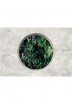 living walls Fototapetas &raquo;Walls by Patel Deep Green&laquo; glatt Vlies Wand
