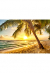 Papermoon Fototapetas &raquo;Barbados Palm Beach&laquo; glatt
