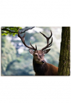 Artland Paveikslas ant drobės &raquo;Hirsch&laquo; Wildtiere 1 Stk. dalys ant Holzrahmen gespannt