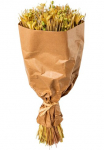 Creativ home Trockenblume &raquo;Trockenblumenbouquet&laquo;