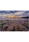 Art for the home Paveikslas ant drobės &raquo;Outdoor Lavendel 50x70cm&laquo; gėlės | Romantisch 1 Stk. dalys Paveikslas ant drobės dėl lauke - Lavendelfeld - 50x70cm