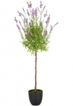 Creativ green Dirbtinis augalas &raquo;Lavendel&laquo; su filigranen Lavendelb&uuml;ten