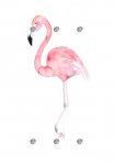queence Prie&scaron;kambario kabykla &raquo;Flamingo&laquo; su 6 Kabliukas 50 x 120 cm