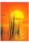 Artland Paveikslas ant drobės &raquo;Sonnenuntergang su Schilf&laquo; Sonnenaufgang & -untergang 1 Stk. dalys ant Holzrahmen gespannt
