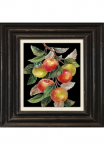 queence Paveikslas ant drobės &raquo;&Auml;pfel&laquo; Kunst | Obst | Obst paveikslas/nuotrauka | Stillleben Premium-Leinwandstoff Handarbeit i&scaron; Deutschland 40x40cm