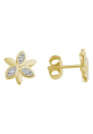 Firetti Pora auskarai &raquo;Schmuck Dovanų Gold 375 Auskarai auskarai Blume&laquo; su Brillanten
