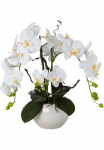 Creativ green Kunstorchidee &raquo;Phalaenopsis&laquo; im Keramikinis indas
