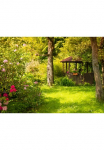 Papermoon Fototapetas &raquo;Magic Garden&laquo; glatt