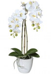 Creativ green Dirbtinis augalas &raquo;Orchidee Phalaenopsis&laquo; im Keramikinis indas