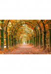 Papermoon Fototapetas &raquo;Autumn Garden&laquo; glatt