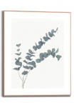 Reinders! Paveikslas su grotelės &raquo;Eucalyptus&laquo; 1 Stk. dalys