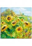 Artland Paveikslas &raquo;Sommerwiese su Sonnenblumen&laquo; Blumenwiese 1 Stk. dalys kaip Paveikslas ant drobės Plakatas in verschied. dydžiai