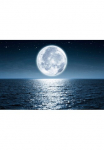 Papermoon Fototapetas &raquo;Vollmond&laquo;