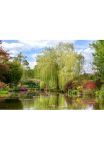 Papermoon Fototapetas &raquo;Monets Garten&laquo;