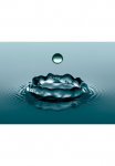 Papermoon Fototapetas &raquo;Water Droplets&laquo; glatt