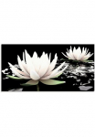 Artland Stiklinis paveikslas &raquo;Zwei Lotusblumen ant dem Wasser&laquo; gėlės 1 Stk. dalys in padėties dydžiai