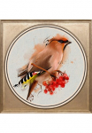 queence Paveikslas &raquo;Bunter Vogel I&laquo; Dekoracija | Kunst | Obst | Vogelbilder | V&ouml;gel Fine Art-Print in Galeriequalit&auml;t