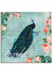 Artland Paveikslas ant drobės &raquo;Vintage Rosen ir Pfau Illustration&laquo; V&ouml;gel 1 Stk. dalys ant Holzrahmen gespannt