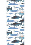 queence Prie&scaron;kambario kabykla &raquo;Fische&laquo; su 6 Kabliukas 50 x 120 cm