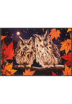 wash+dry by Kleen-Tex Wash+dry by Kleen-Tex Durų kilimėlis &raquo;Night Owls&laquo; rechteckig 7 mm auk&scaron;tis