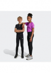 adidas Sportswear Sportinės kelnės &raquo;TECHFIT Tamprės