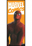 Komar Tapetai &raquo;Digitaldruck Vlies - Spider-Man Comic - Gr&ouml;&szlig;e 100 x 250 cm&laquo; ra&scaron;tuotas glatt vaikų kambario baldų komplektas