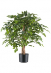 Creativ green Dirbtinis augalas &raquo;Ficus benjamina&laquo; su Naturstamm