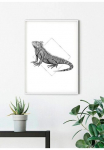 Komar Paveikslas &raquo;Iguana White&laquo; Tiere 1 Stk. dalys paveikslas zur dekoracija - be grotelės