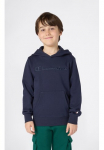 Champion Sportinis megztinis su gobtuvu &raquo;ICONS TONAL bliuzonas Large Logo&laquo;