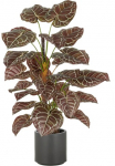 Creativ green Dirbtinis augalas &raquo;Anthurium&laquo; su naturgetreuer Gestaltung