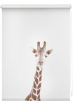 LICHTBLICK ORIGINAL Ritininė užuolaida &raquo;Rollo Lango kabliukai be Bohren blickdicht Giraffe - Braun&laquo; blickdicht Blendschutz | Sienelė freih&auml;ngend