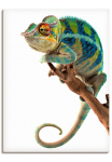 Artland Paveikslas ant drobės &raquo;Ambanja Panther Cham&auml;leon&laquo; Reptilien 1 Stk. dalys ant Holzrahmen gespannt