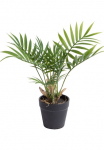 Botanic-Haus Dirbtinis Zimmerpflanze &raquo;Chamaedorea Palme&laquo;