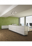 GLOBO LIGHTING LED Lubinis &scaron;viestuvas &raquo;COMORE&laquo; LED-Modul 1 Stk. Warmwei&szlig; Deckenspot/verchromt/Acryl satiniert/Flur/Wohnzimmer