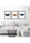 queence Paveikslas &raquo;Lana&laquo; Insekten | Kunst | Schmetterlinge 1 Stk. dalys HD Premium Poster-Druck ir Holzrahmen