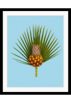 queence Paveikslas &raquo;Diana&laquo; Ananas | Kunst | Obst | Obst paveikslas/nuotrauka | palmių motyvas | Stechpalmen HD Premium Poster-Druck ir Holzrahmen