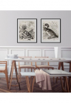 queence Paveikslas &raquo;Ferdinand&laquo; Kunst | Vogelbilder | V&ouml;gel | historische Ereignisse 1 Stk. dalys HD Premium Poster-Druck ir Holzrahmen