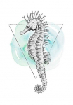 Komar Paveikslas &raquo;Sea Horse Watercolor&laquo; Tiere 1 Stk. dalys paveikslas zur dekoracija - be grotelės