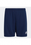 adidas Performance Sportiniai &scaron;ortai &raquo;ENT22 TR SHOY&laquo;