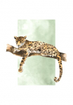 Komar Paveikslas &raquo;Lazy Leopard&laquo; Natur 1 Stk. dalys paveikslas zur dekoracija - be grotelės