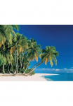 Papermoon Fototapetas &raquo;Tropical Palms&laquo; glatt