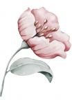 queence Sienos lipdukai &raquo;Annie&laquo; paveikslas Sticker rosa Blume Bl&uuml;te selbstklebend Pastellfarben