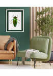 queence Paveikslas su grotelės &raquo;K&auml;fer blizgiu papuo&scaron;imu dunkelgr&uuml;n&laquo; Insekten 1 Stk. dalys Plakatas su buntem Acrylglas Passepartout
